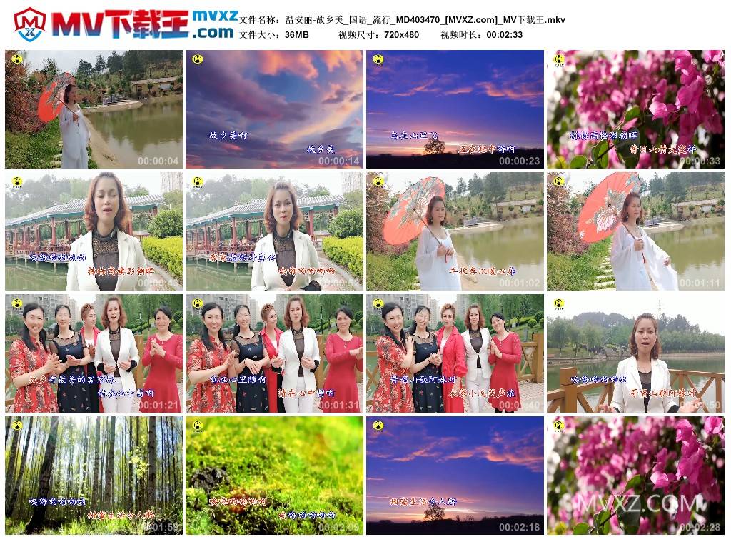 温安丽-故乡美_国语_流行_MD403470